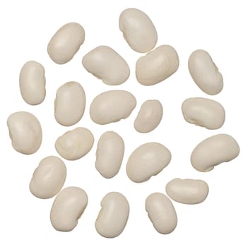 Raw white beans on isolated background, top view