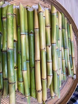 Bamboo shoots for cooking. It is the young bamboo shoot that is edible.