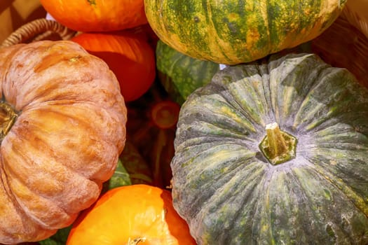 Lots of pumpkins on a market stall.
