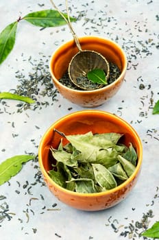 Fresh bay leaf tea and vintage tea sieve. Medicinal herbs. Slimming tea.