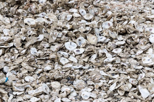 Stack of abandoned oyster shell