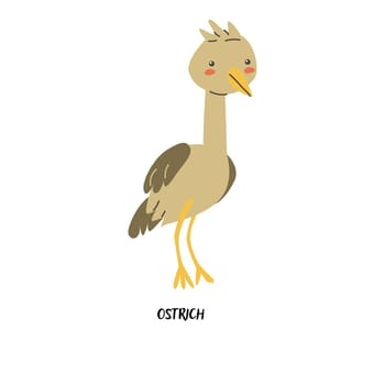 Childrens animal card ostrich for education. Kindergarten design. Cute african animal flash card on english language. Funny cartoon character poster for kids room with quotes.