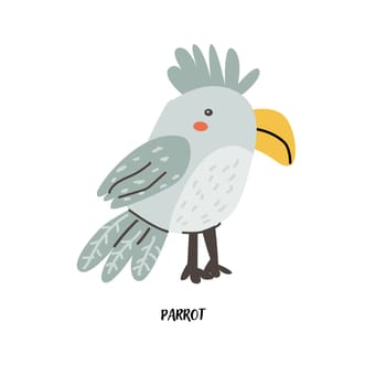 Childrens animal card parrot for education. Kindergarten design. Cute african animal flash card on english language. Funny cartoon character poster for kids room with quotes.
