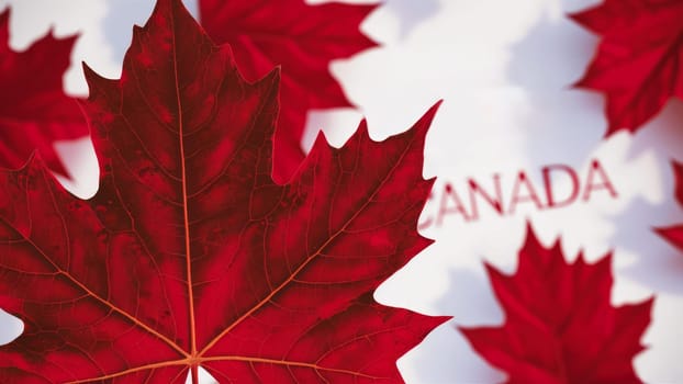 Close-up of vibrant red maple leaves with the word ,Canada, in the background. The image celebrates Canadian identity with prominent red leaves on a white background.