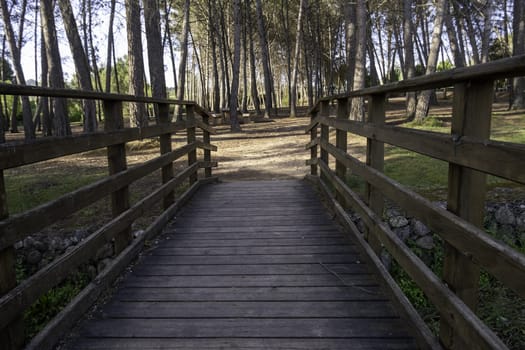 Detail of wooden walkway in the forest, hiking and health