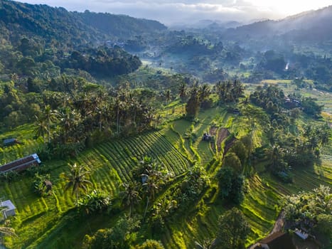 Agricultural landscape of Sidemen, in Karangasem Regency, Bali, Indonesia