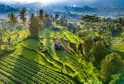 Agricultural landscape of Sidemen, in Karangasem Regency, Bali, Indonesia
