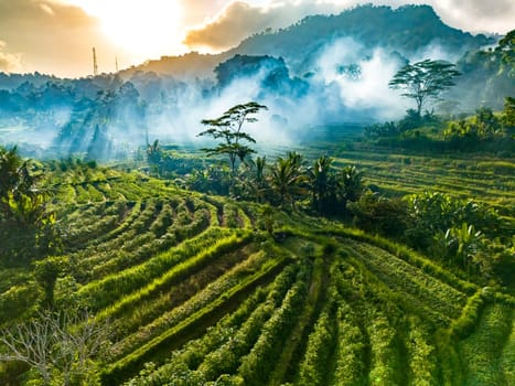 Agricultural landscape of Sidemen, in Karangasem Regency, Bali, Indonesia