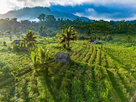 Agricultural landscape of Sidemen, in Karangasem Regency, Bali, Indonesia