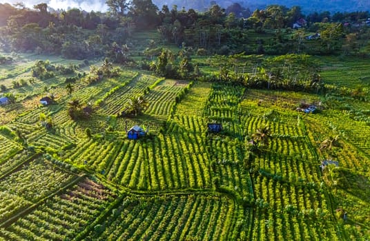 Agricultural landscape of Sidemen, in Karangasem Regency, Bali, Indonesia