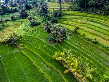 Agricultural landscape of Sidemen, in Karangasem Regency, Bali, Indonesia