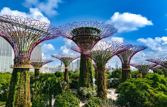 SINGAPORE - MAY 10, 2024: Gardens by the Bay, nature park in the Central Region of Singapore, adjacent to the Marina Reservoir