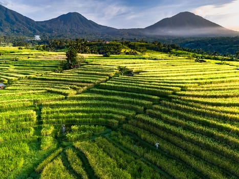 Landscape view of Jatiluwih Rice Terraces in Penebel District, Tabanan Regency, Bali, Indonesia. UNESCO's world's cultural heritage site