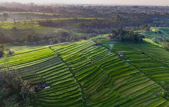 Landscape view of Jatiluwih Rice Terraces in Penebel District, Tabanan Regency, Bali, Indonesia. UNESCO's world's cultural heritage site