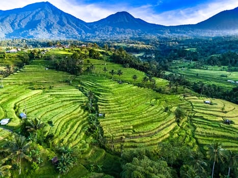 Landscape view of Jatiluwih Rice Terraces in Penebel District, Tabanan Regency, Bali, Indonesia. UNESCO's world's cultural heritage site