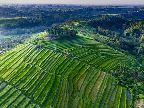Landscape view of Jatiluwih Rice Terraces in Penebel District, Tabanan Regency, Bali, Indonesia. UNESCO's world's cultural heritage site