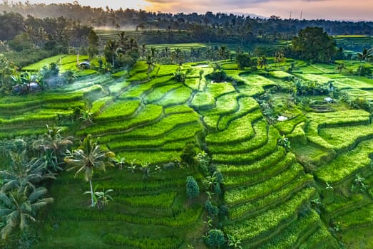 Landscape view of Jatiluwih Rice Terraces in Penebel District, Tabanan Regency, Bali, Indonesia. UNESCO's world's cultural heritage site
