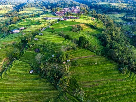 Landscape view of Jatiluwih Rice Terraces in Penebel District, Tabanan Regency, Bali, Indonesia. UNESCO's world's cultural heritage site
