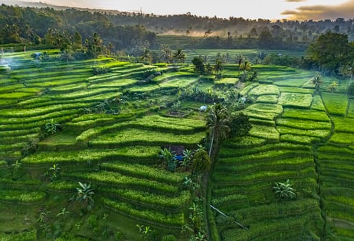 Landscape view of Jatiluwih Rice Terraces in Penebel District, Tabanan Regency, Bali, Indonesia. UNESCO's world's cultural heritage site