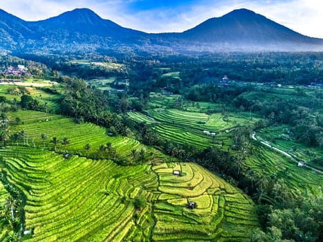 Landscape view of Jatiluwih Rice Terraces in Penebel District, Tabanan Regency, Bali, Indonesia. UNESCO's world's cultural heritage site