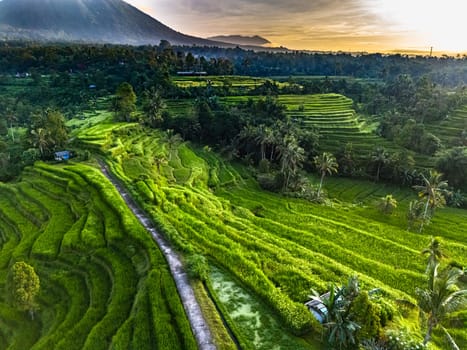 Landscape view of Jatiluwih Rice Terraces in Penebel District, Tabanan Regency, Bali, Indonesia. UNESCO's world's cultural heritage site
