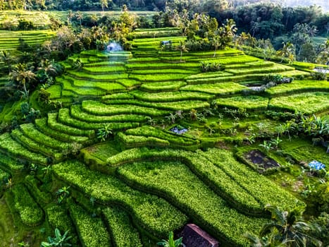 Landscape view of Jatiluwih Rice Terraces in Penebel District, Tabanan Regency, Bali, Indonesia. UNESCO's world's cultural heritage site