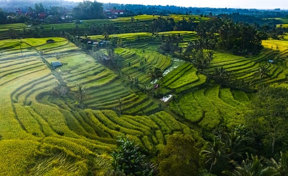 Landscape view of Jatiluwih Rice Terraces in Penebel District, Tabanan Regency, Bali, Indonesia. UNESCO's world's cultural heritage site