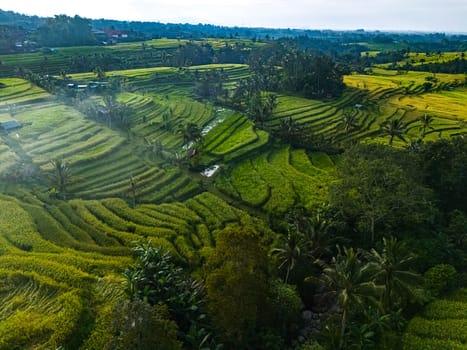 Landscape view of Jatiluwih Rice Terraces in Penebel District, Tabanan Regency, Bali, Indonesia. UNESCO's world's cultural heritage site