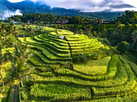 Landscape view of Jatiluwih Rice Terraces in Penebel District, Tabanan Regency, Bali, Indonesia. UNESCO's world's cultural heritage site