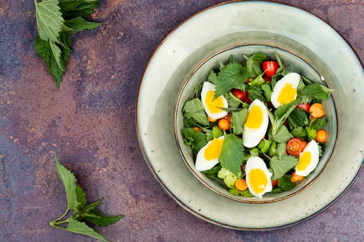 Herbal green salad with nettles, tomatoes and eggs. Ukrainian food. Copy space.