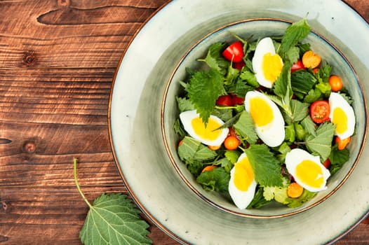 Bowl with salad of nettle leaves, eggs and tomatoes. Nettle dishes.
