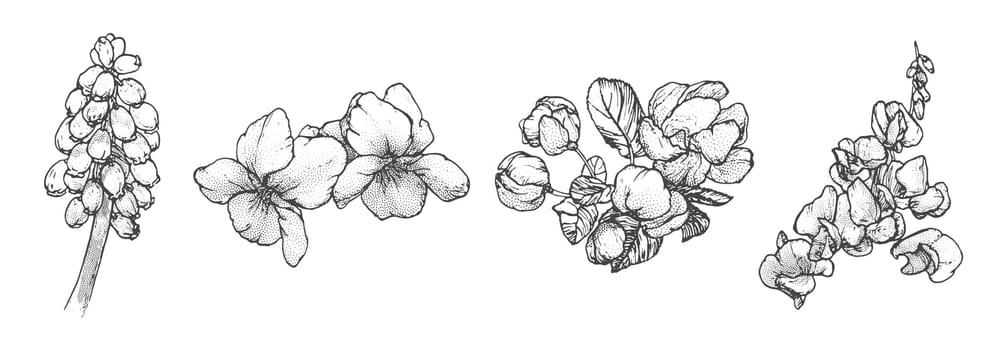 Spring flowers drawing with line art on white