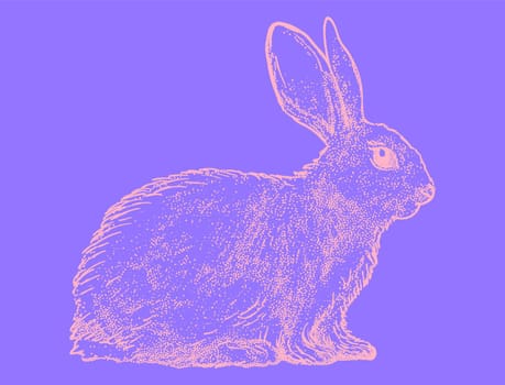 Hand Drawn Sketch Rabbit for Your Design. Psychedelic
