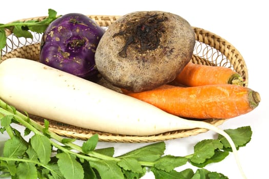 Root vegetables used for salad mostly in winter season