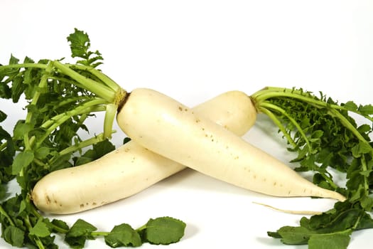 Oblong white radish with green leaves on a white background