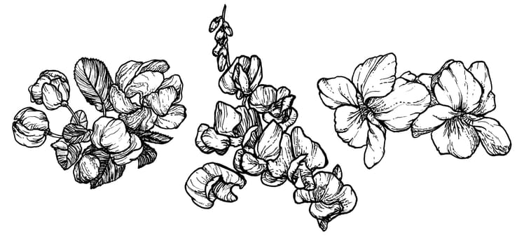 Spring flowers drawing with line art on white