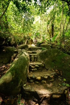 Trail in rain forest to most beautiful Caribbean beach, Playa Arenilla in Tayrona National Park, Colombia Colombia landscape