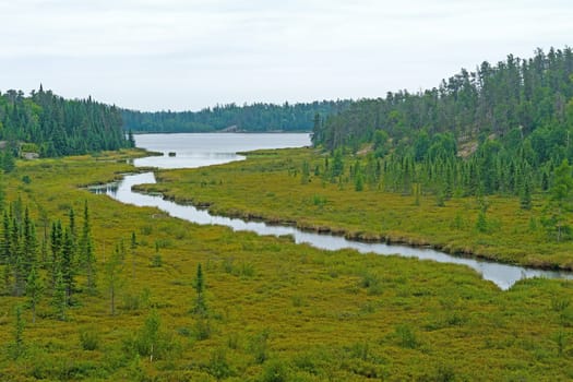 Boglands Surrounding a Wetlands Stream and Lake at McGillivray Lake in Whiteshell Provincial Park in Manitoba