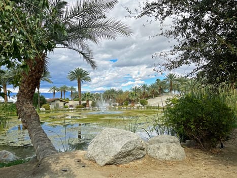 A peaceful beautiful view of a pond and garden on a date tree farm in southern California, USA.