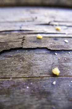 Detail of small pieces of stale bread on a table