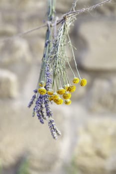 Detail of traditional drying of natural medicinal flowers