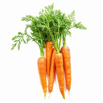 Bunch of fresh, vibrant orange carrots with green tops, isolated on a white background
