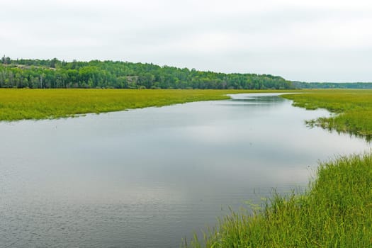 Quiet Channel Through a Reed Filled Lake on Heart Lake in Whitesell Provincial Park in Manitoba