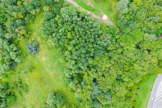 Suburban park and glade. Suburban landscape suburbs