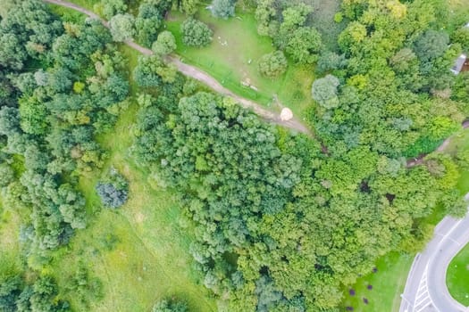 Suburban park and glade. Suburban landscape suburbs