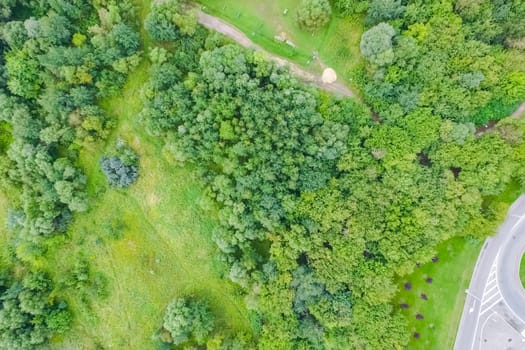 Suburban park and glade. Suburban landscape suburbs