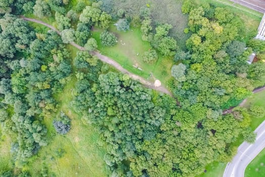 Suburban park and glade. Suburban landscape suburbs