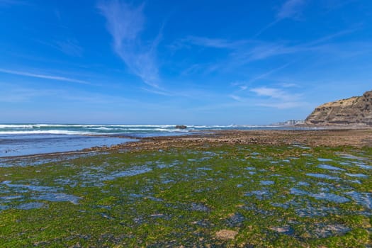 Praia do sul beach, Ericeira, Sintra, Lisbon coast, Portugal
