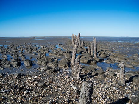Wide angle view of the Lower Saxony Wadden Sea with weathered wooden groyne pillars near Neuharlingersiel with mirages of the East Frisian Islands on the horizon.