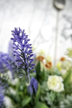Detail of wild flowers in nature, flora